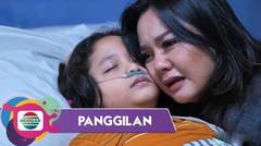 Semua Orang Menangis!! Selamat Tinggal Radja... | Panggilan - Episode 316