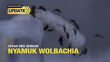Liputan6 Update: Cegah DBD dengan Menyebar Nyamuk Wolbachia?