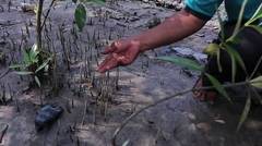 2018 #Liputan6Awards_Menyelamatkan Tanah yang Terkuras Agar Masyarakat Kampung Tak Ikut Terkikis_Desa Anak Setatah Kec Rangsang Barat Kab Kepulauan Meranti Riau