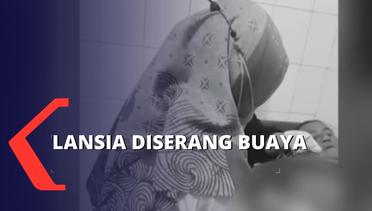 Sedang Mandi, Seorang Lansia di Lampung Diserang Buaya!