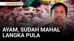 Harga Ayam Potong Melonjak, Stoknya Langka Pula | Liputan 6
