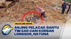Anjing Pelacak Bantu Tim SAR Cari Korban Longsor Natuna