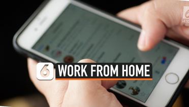 Aplikasi yang Paling Banyak Diakses Orang Indonesia saat Work From Home