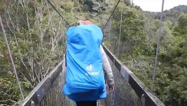 Detik-detik 4 Turis Jatuh dari Jembatan Gantung Selandia Baru