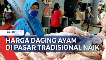 Harga Daging Ayam Di Pasar Tradisional Naik