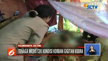 Alasan Keluarga Tolak Pemakaman Korban Gigitan Ular Cobra - Liputan6 Siang