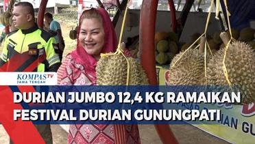 Durian Jumbo 12,4 kg Ramaikan Festival Durian Gunungpati di Semarang