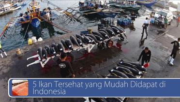 #DailyTopNews: 5 Ikan Tersehat yang Mudah Didapat di Indonesia