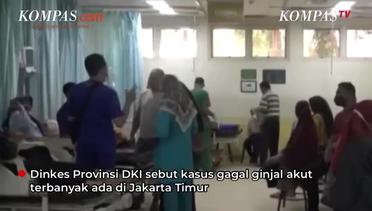 Dinkes DKI Ungkap Kasus Gagal Ginjal Akut Tertinggi di Jakarta Timur