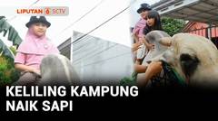Anak 6 Tahun Pergi ke Warung Kelontong Menunggangi Sapi | Liputan 6