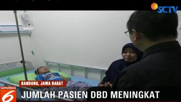 Jumlah Pasien DBD di Kabupaten Bandung Terus Meningkat - Liputan 6 Terkini