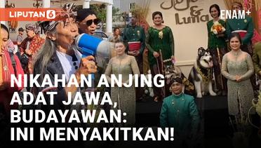 Penggiat Budaya di Yogyakarta Kecam Nikahan Anjing Viral Pakai Adat Jawa