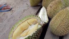 Durian berkualitas asal Katingan Kalteng