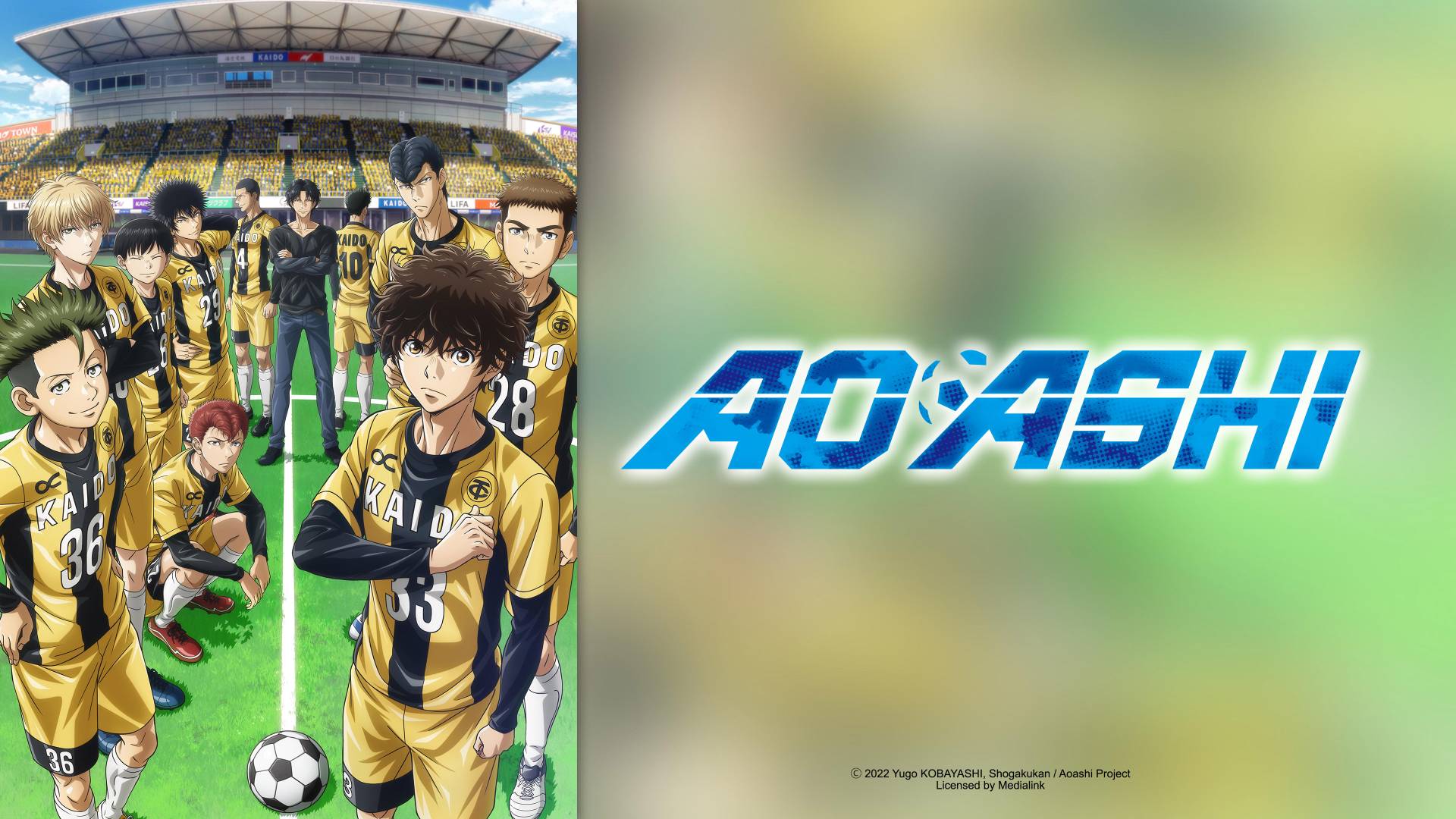 AOASHI