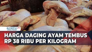 Pedagang Bingung Harga Daging Ayam di Jember Masih Tinggi, Meski Pasokan Melimpah!
