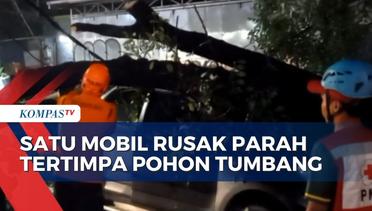 Tiga Kendaraan Tertimpa Pohon Tumbang di Bekasi Usai Hujan Deras, 1 Mobil Rusak Parah!