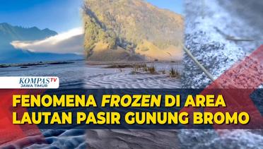 Penjelasan Kabag TU BB TNBTS Soal Fenomena Frozen di Area Lautan Pasir Gunung Bromo Probolinggo!