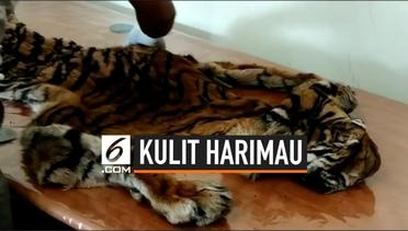 Terungkap Penyelundupan Kulit Harimau di Sumatera Barat