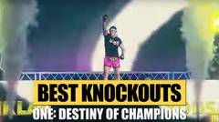 ONE- DESTINY OF CHAMPIONS Highlights - Best KOs & Submissions