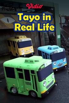 Tayo in Real Life