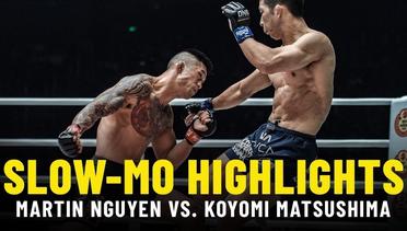 Martin Nguyen vs. Koyomi Matsushima - Slow-Mo Fight Highlights