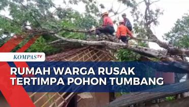 Sejumlah Rumah Warga di Sukabumi Rusak Tertimpa Pohon Tumbang