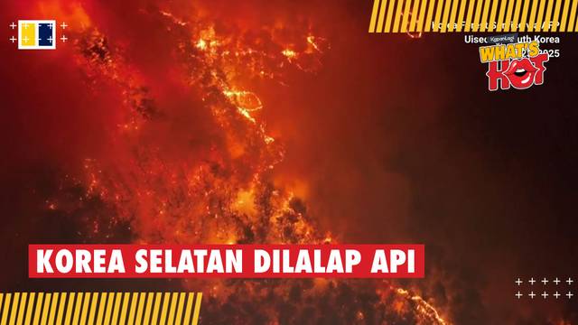  Di Luar Bayangan!