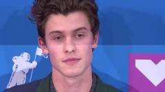 Shawn Mendes would make time for love