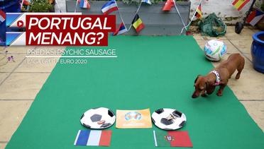 Prediksi Anjing Psychic Sausage, Timnas Portugal Taklukkan Timnas Prancis di Euro 2020