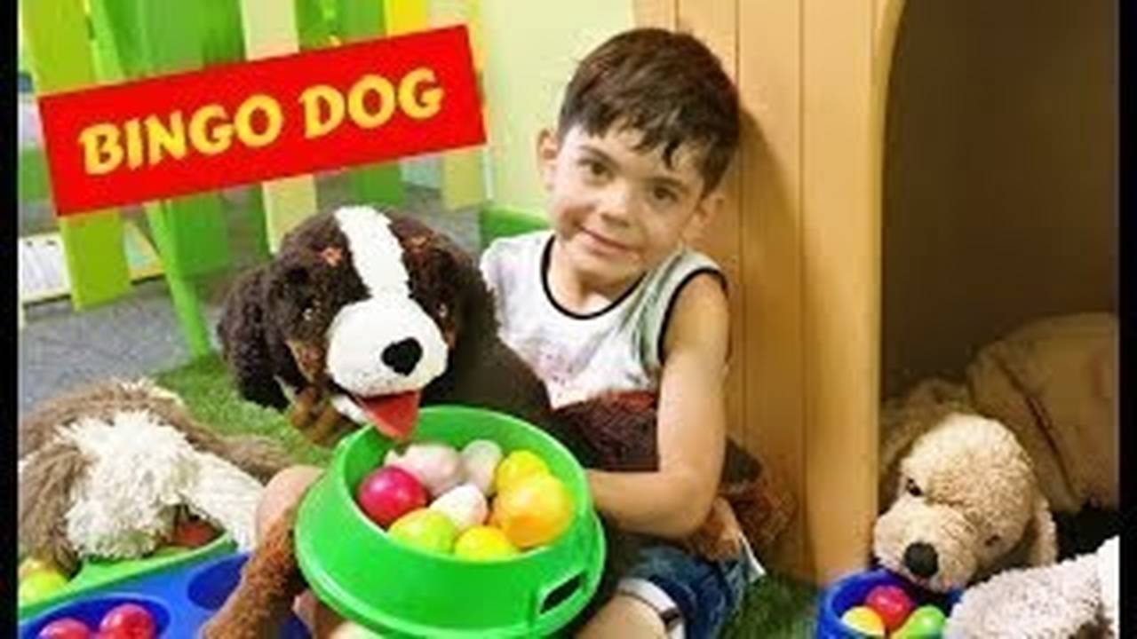 бинго дог кременки