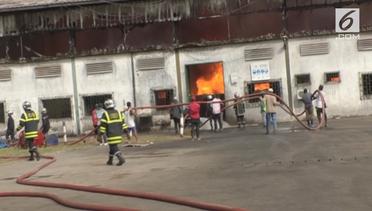 Kebakaran Hebat Pabrik Alkohol Terbesar di Kamerun