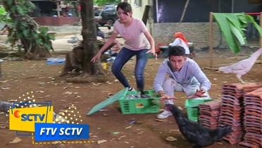 FTV SCTV - Anti Ayam Ayam Club