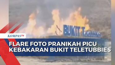 Flare Foto Pranikah Diduga Jadi Pemicu Kebakaran di Bukit Teletubbies Bromo