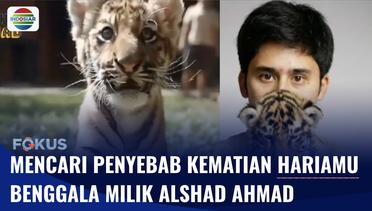 Anak Harimau Benggala Milik Influencer Alshad Ahmad Mati, BKSDA Jabar Telusuri Penyebab | Fokus