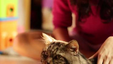 CHRISTI COLONDAM - #ITUAKU "Kucing Kacang"
