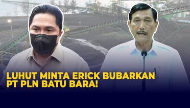 Luhut Minta Erick Thohir Bubarkan PT PLN Batu Bara, Ini Alasannya!