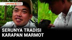 Serunya Tradisi Karapan Marmot | Liputan 6