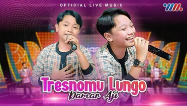 Damar Aji - Tresnomu Lungo (Official Live Music)