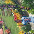 user profile