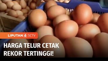 Harga Telur dan Daging Ayam Terus Melonjak, Pedagang dan Peternak Resah | Liputan 6