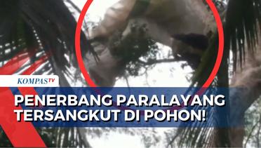 Angin Berubah Kencing Tiba-Tiba, Penerbang Paralayang Tersangkut di Pohon Setinggi 20 Meter!