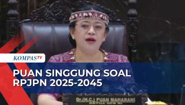 Bicara Soal RPJPN 2025-2045, Puan Maharani Singgung Pentingnya Politik Pembangunan Indonesia
