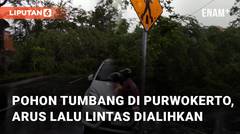 Pohon Tumbang di Purwokerto, Arus Lalu Lintas Sempat Dialihkan Sementara
