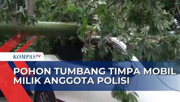 Pohon Setinggi 8 Meter Tumbang Timpa Mobil Milik Anggota Polisi dei Bekasi