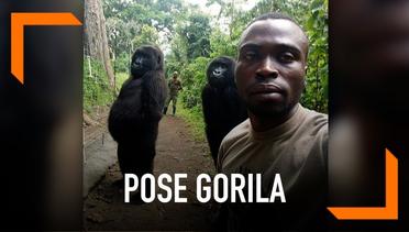 Pose Gorila Ini Seperti Manusia Saat Foto Bareng Penjata Hutan