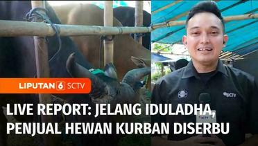 Live Report: Jelang Iduladha, Penjual Hewan Kurban Diserbu Pembeli | Liputan 6