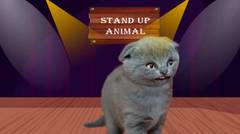 ANJING PUDEL TERSESAT DI AFRIKA - Stand Up animal Animasi