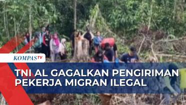 Gagalkan Tindak TPPO, TNI AL Amankan 31 Pekerja Migran Ilegal yang Hendak Dikirim ke Malaysia!