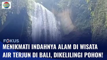 Indahnya Pesona Air Terjun Setinggi 20 Meter di Desa Jahen Bali | Fokus