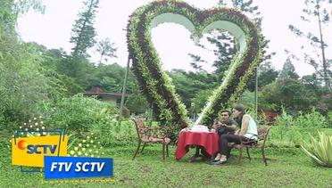 FTV SCTV - Pergi Demi Kerja, Pulang Demi Cinta